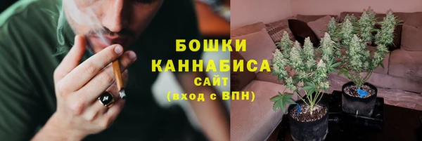 PSILOCYBIN Аркадак