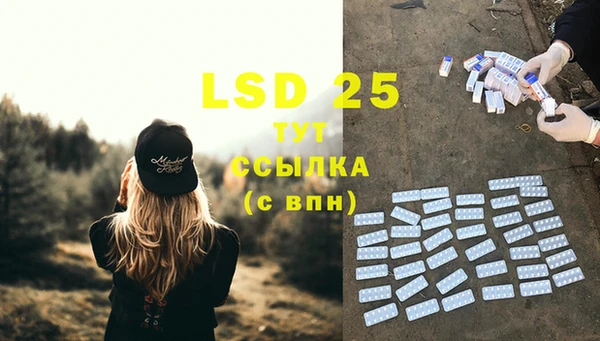 PSILOCYBIN Аркадак