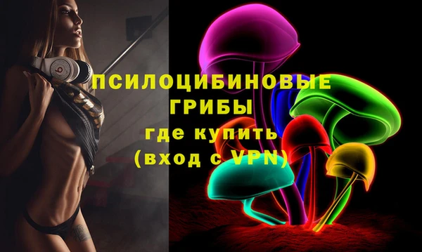ПСИЛОЦИБИНОВЫЕ ГРИБЫ Покров