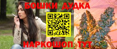 спиды Донской