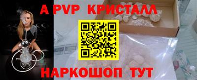 спиды Донской
