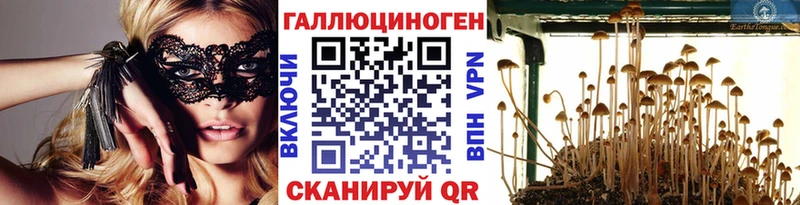 Галлюциногенные грибы Cubensis  Муравленко 