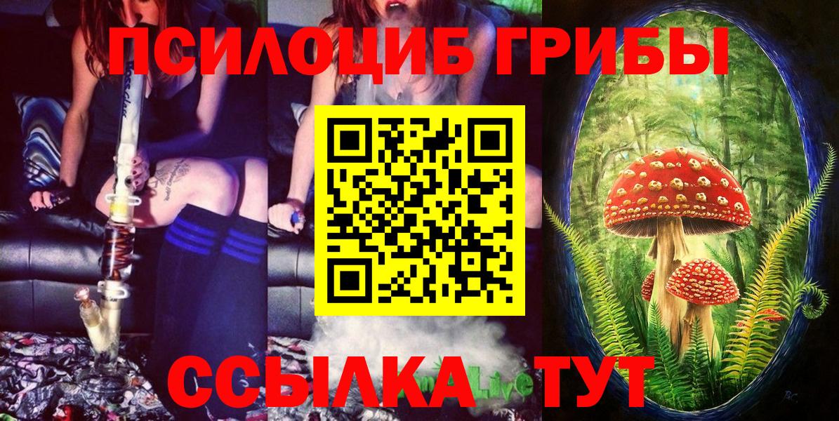  COCAIN Муравленко